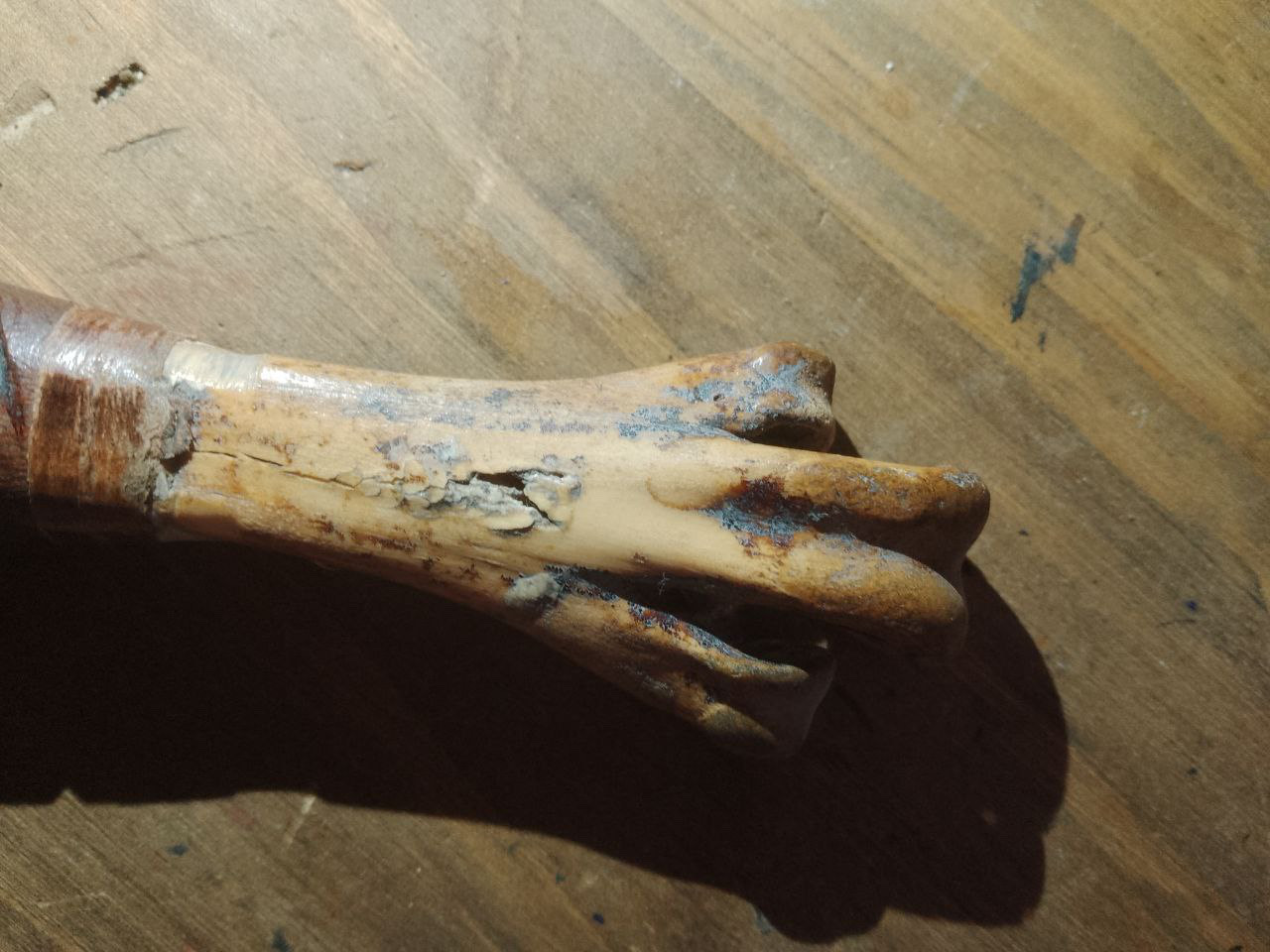 Preview Image 4